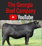 Georgia Beef Company Youtube